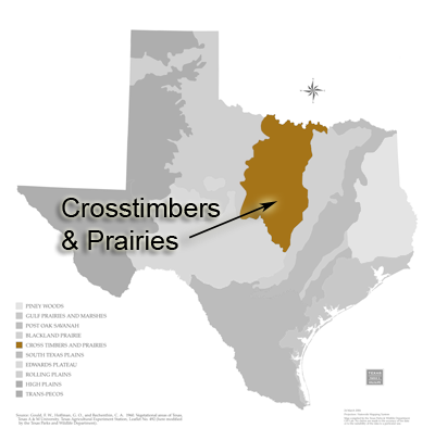 Cross Timbers Tree Service Co. Flower Mound TX